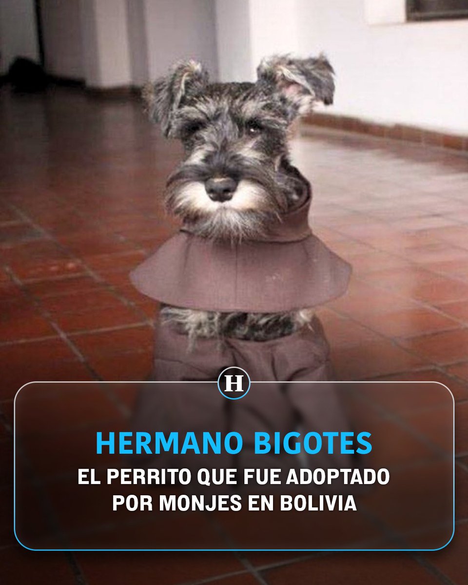 El Heraldo de México tweet media