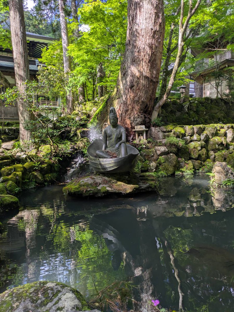 rinnosuke311's tweet photo. 越前大仏と永平寺行ってきた🙏 https://t.co/TCcLvy564G
