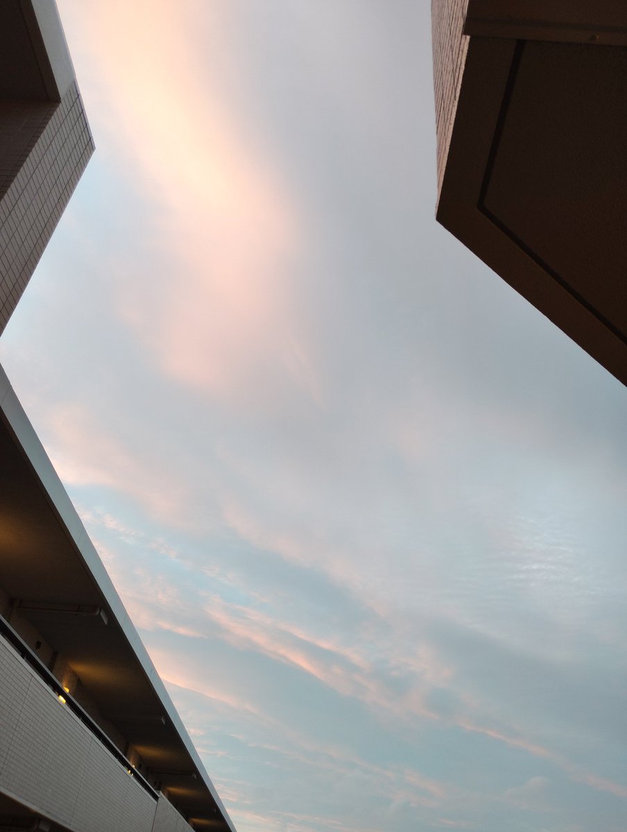 MiluxorM's tweet photo. 今日も1日お疲れさまでした

今日は何曜日だっけー？
と、何度も聞いたり聞かれたり…
来週からは通常モードに戻る人も多いでしょうか
今夜も良質な睡眠でありますように
おやすみなさい https://t.co/oQkG61VKFk