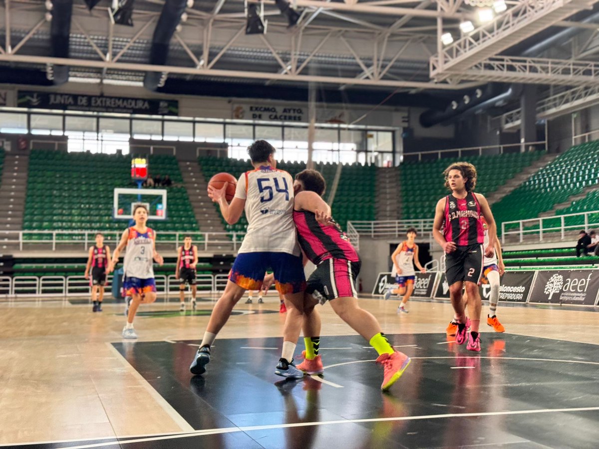 Federación Extremeña de Baloncesto tweet media