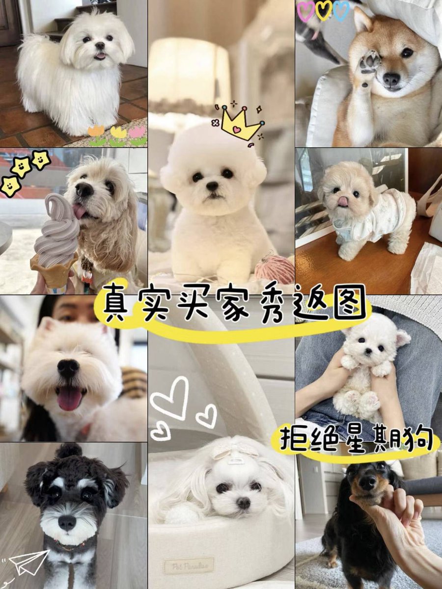 生命 no take two  tweet media