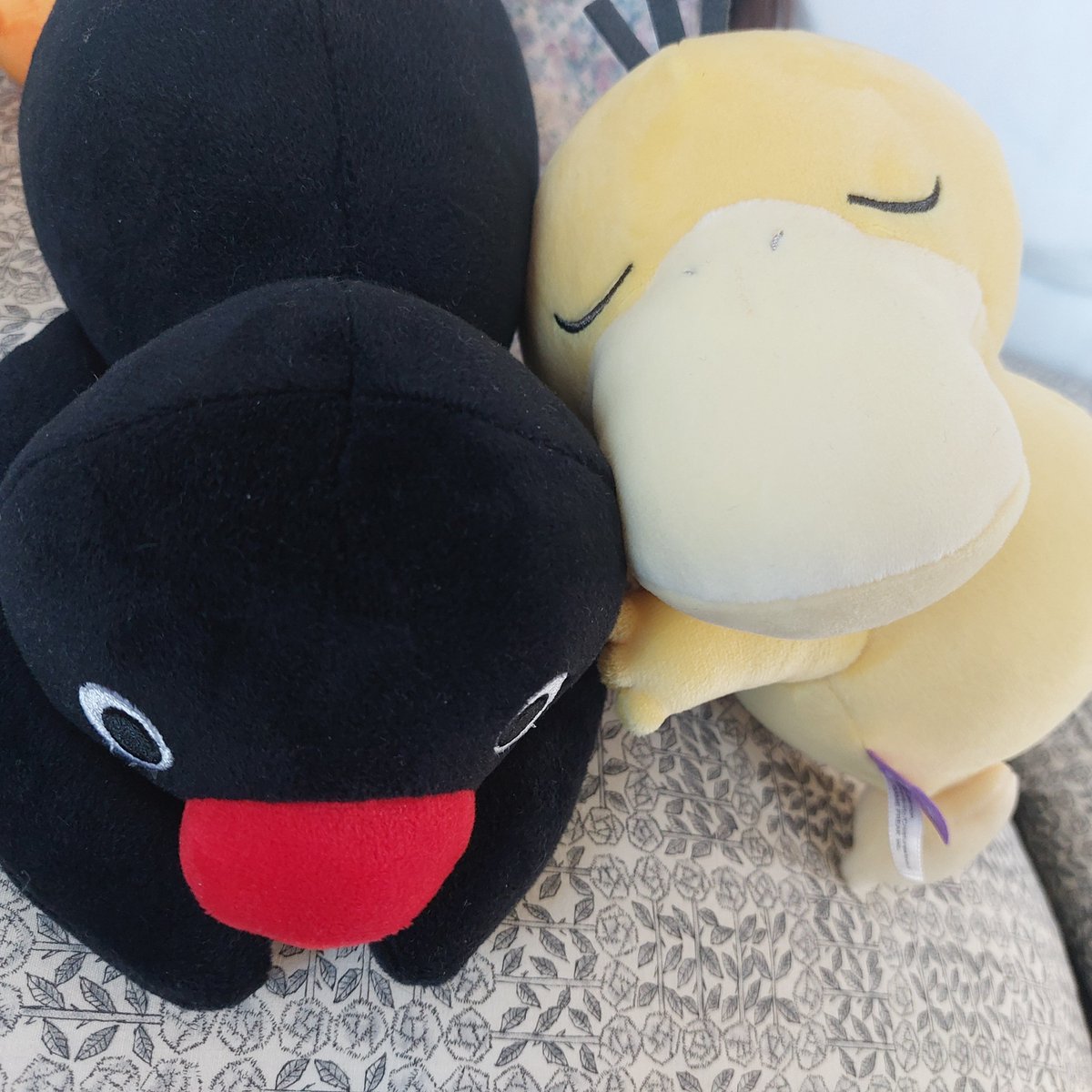 可愛いアイコン tweet media