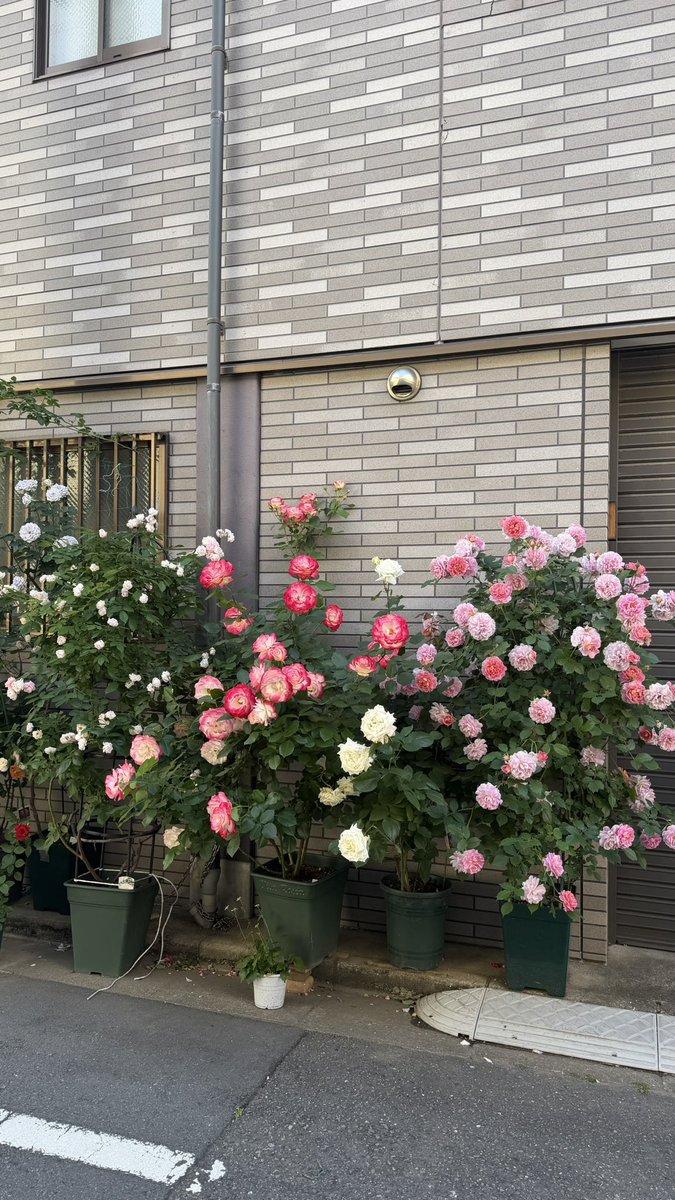 nunnoma's tweet photo. 自分のことは自分が幸せにしてあげような〜 https://t.co/5NE0wb16sE