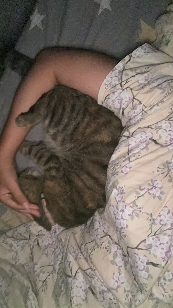 mami acis 🦷😾 tweet media