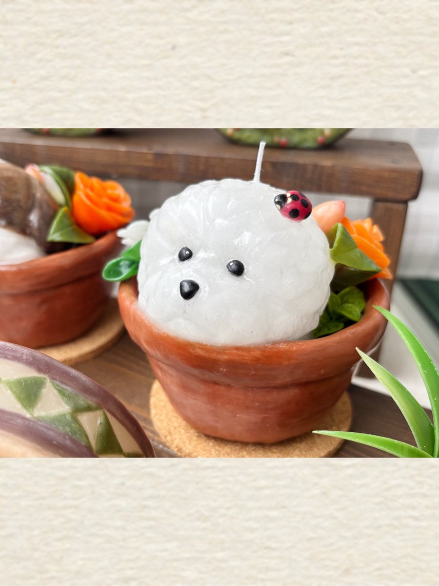 anomanocaris's tweet photo. お写真のキャンドル作品のような
鉢植えにすっぽりとハマった
わんちゃんと季節のお花シリーズは
今後違う動物でも作ってみたいなぁなんて。
⁡
作りたいものが沢山。
やりたいことが沢山。
⁡
また新しい作品をお披露目出来る日を
今から楽しみに制作に励みたいと思います☺️♪
#キャンドル https://t.co/j9NXVed4Fs