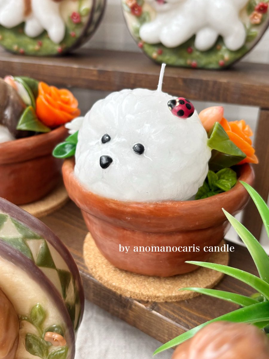 anomanocaris's tweet photo. お写真のキャンドル作品のような
鉢植えにすっぽりとハマった
わんちゃんと季節のお花シリーズは
今後違う動物でも作ってみたいなぁなんて。
⁡
作りたいものが沢山。
やりたいことが沢山。
⁡
また新しい作品をお披露目出来る日を
今から楽しみに制作に励みたいと思います☺️♪
#キャンドル https://t.co/j9NXVed4Fs