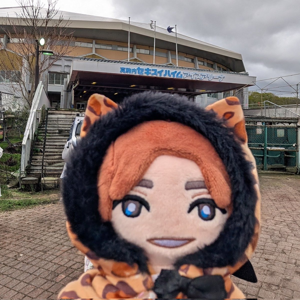 よしこ tweet media