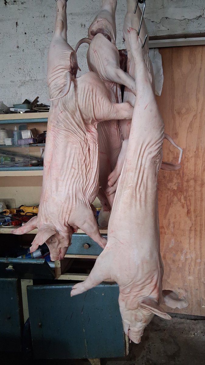 agrolapampa tweet media
