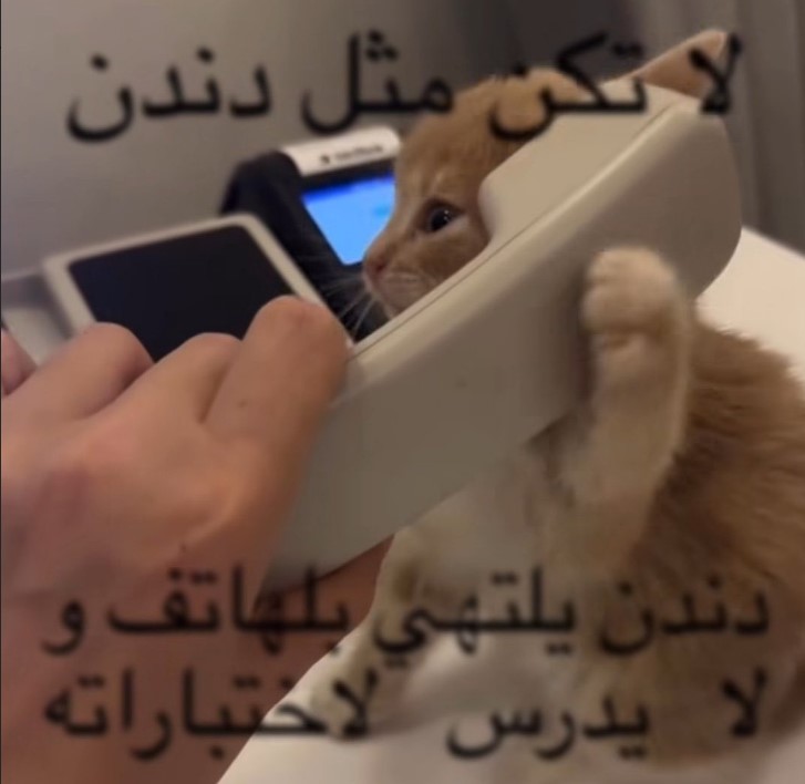 مقهوره tweet media