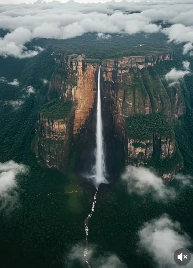 Miraculous Earth tweet media