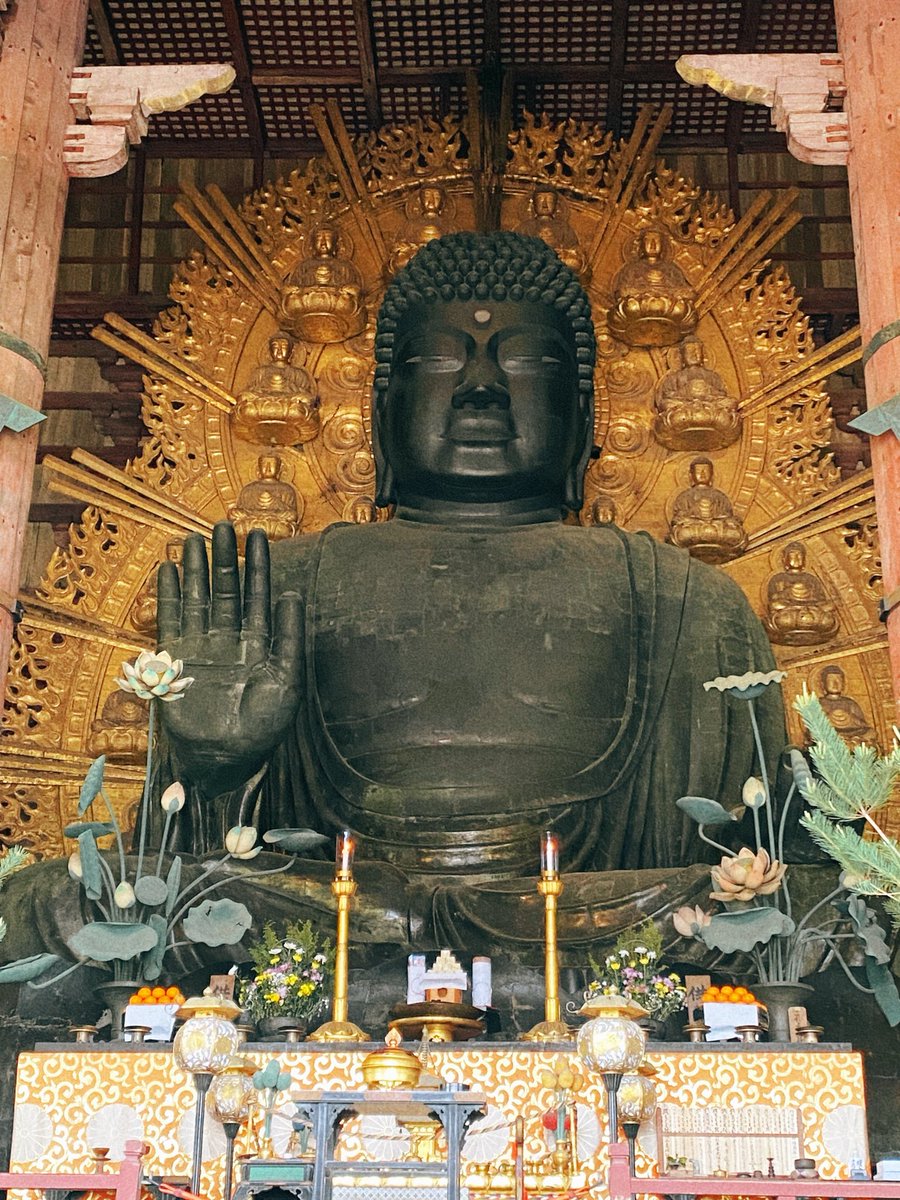 donchee94's tweet photo. 36年生きてきて今が1番幸せで楽しいし色々神社仏閣観光しまくってるんだけど死にゲーのボス感半端ない、倒したいっていう感想が真っ先に出てきてしまう🦌💨 https://t.co/RnyjMBb66Y