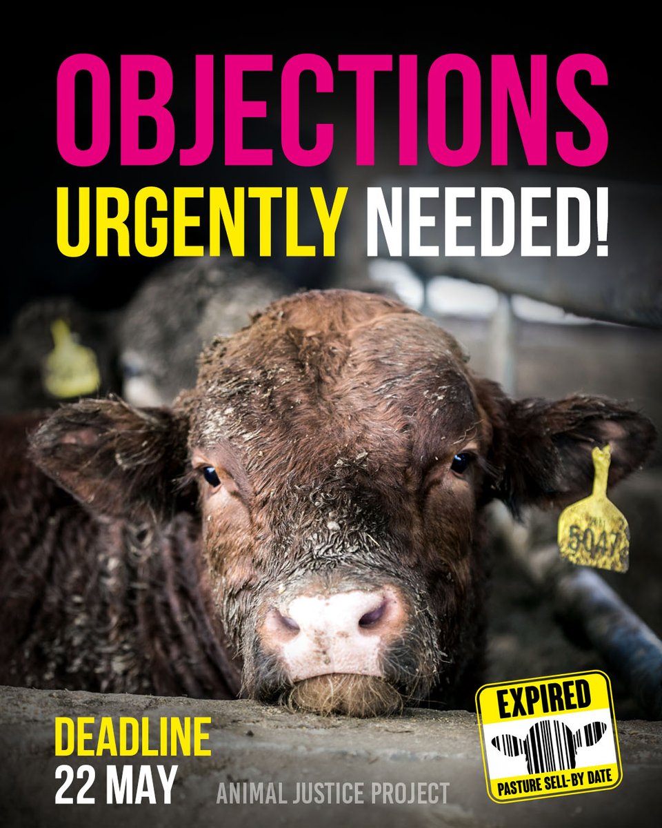 AnimalJusticeProject tweet media