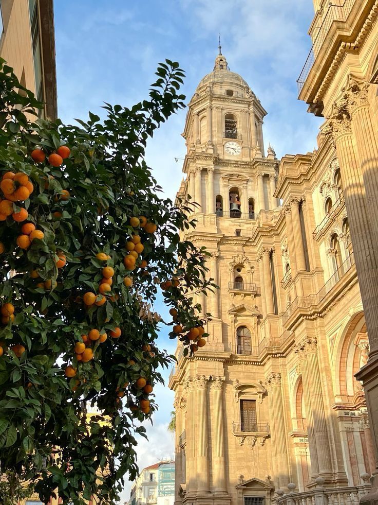 MozartCultures tweet media
