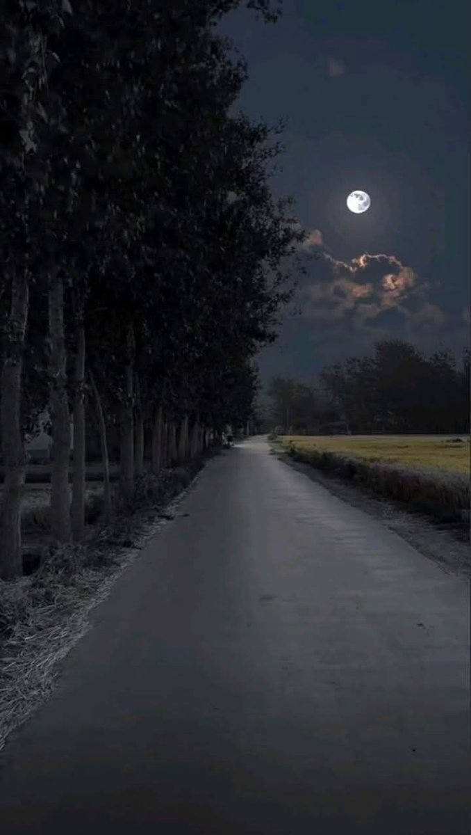 shikanaraMerL's tweet photo. 🌜😽💗💗💗💤🌛 https://t.co/ZGOoA1zJkB