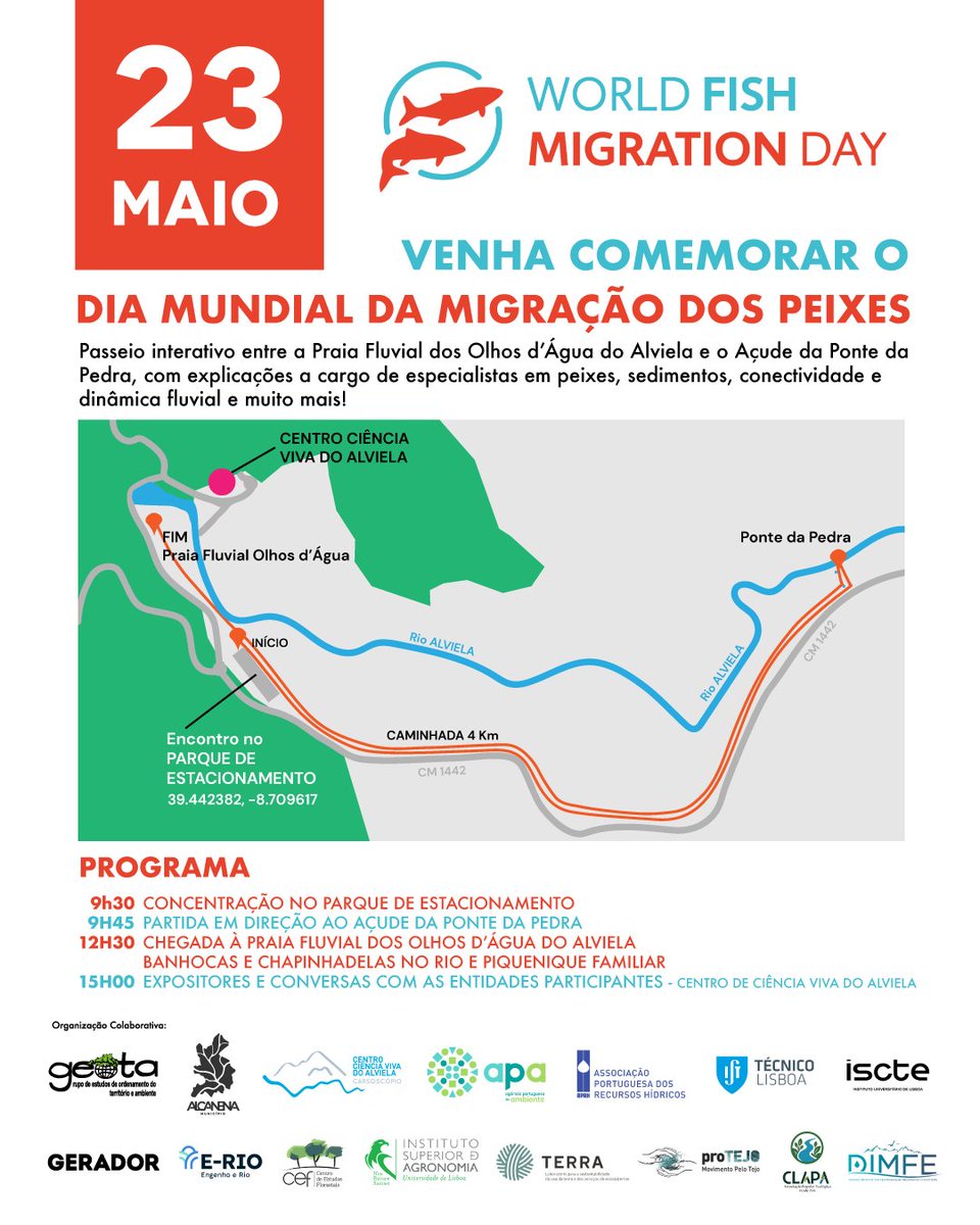 protejo's tweet photo. Dia Mundial da Migração dos Peixes no rio Alviela – 23 de Maio - https://t.co/Q0nmOGbJKN

O proTEJO - Movimento Pelo Tejo participa para defender a urgência em defender rios livres de novas barreiras e de barreiras obsoletas, para não agravar o seu estado ecológico. https://t.co/IXbnMOlWZI