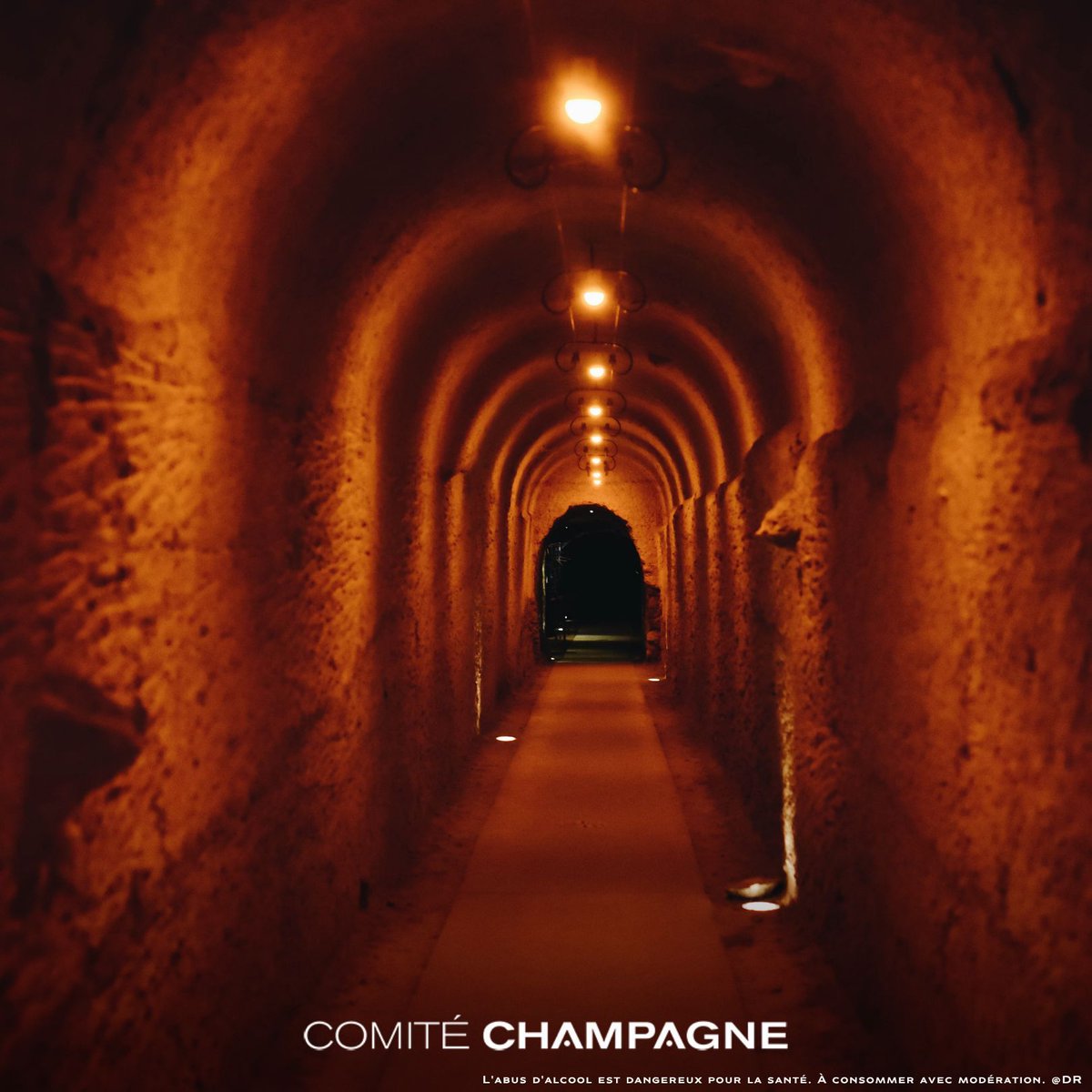 Champagne's tweet photo. Un labyrinthe, oui, mais rempli de bouteilles de Champagne ! https://t.co/3m6r7JGdJ2