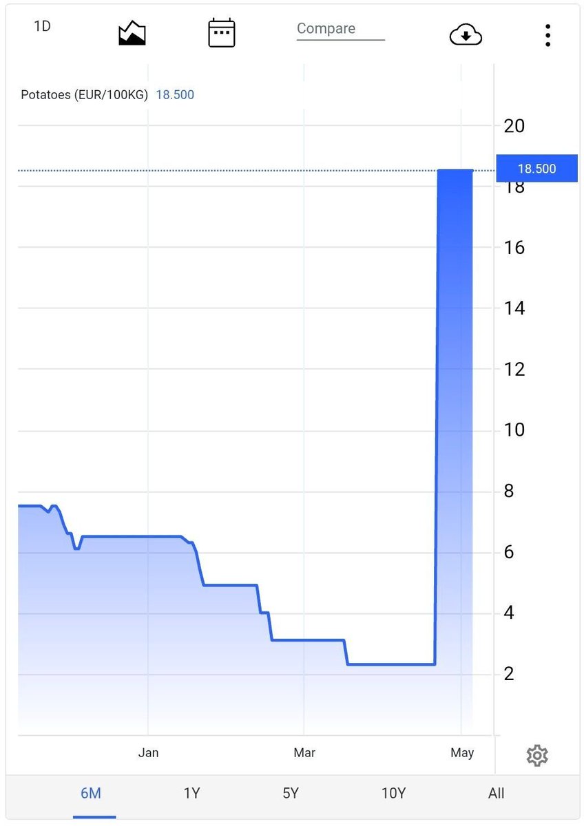 THE WOLF OF TASI ™ tweet media