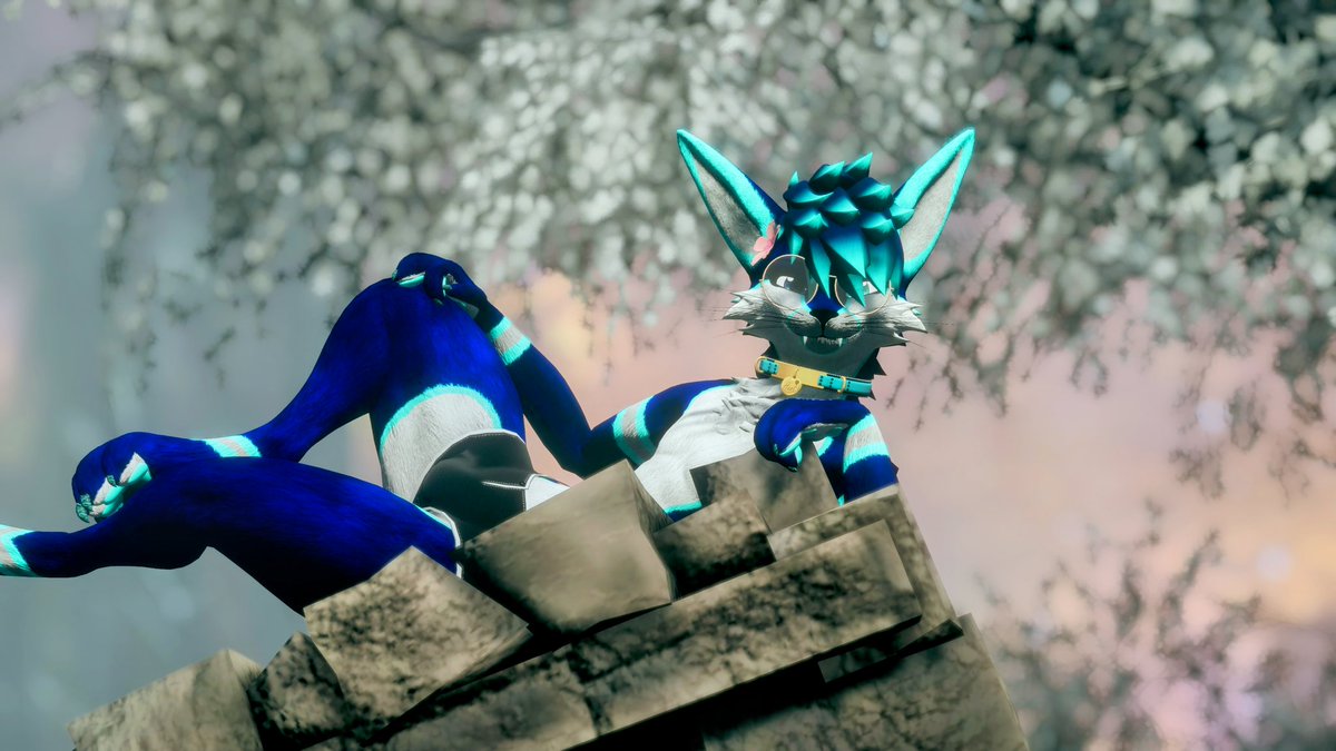 Hunter Folf tweet media