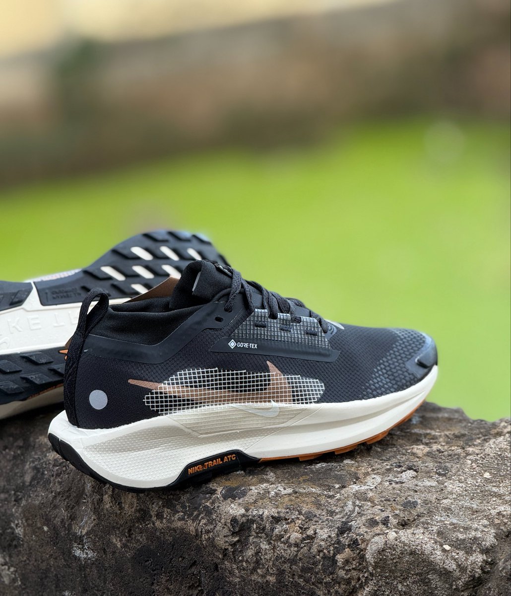 Detailed look of the new arrival Nike Running React X Pegasus