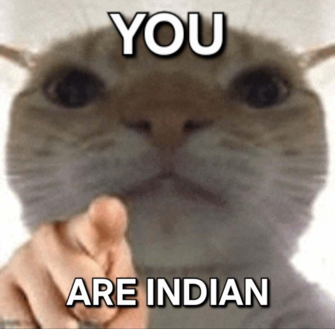 ins0 tweet media