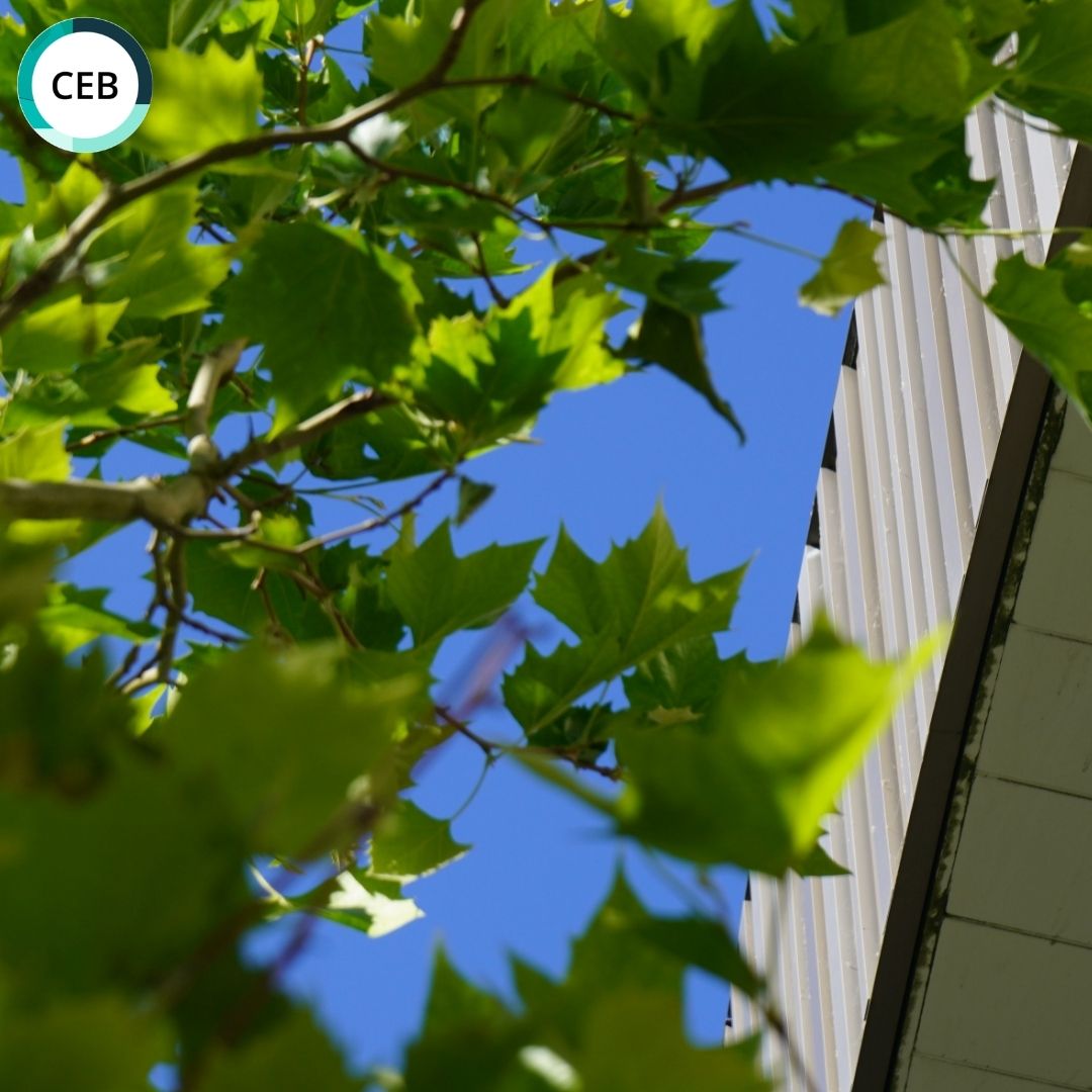 cebcambridge's tweet photo. One full week of Easter term complete ✅

Few snaps from the term so far 📸

🧪⚙️🌱🔋

#ChemicalEngineering #Biotechnology #CambridgeUniversity https://t.co/fKtRqMpSLV