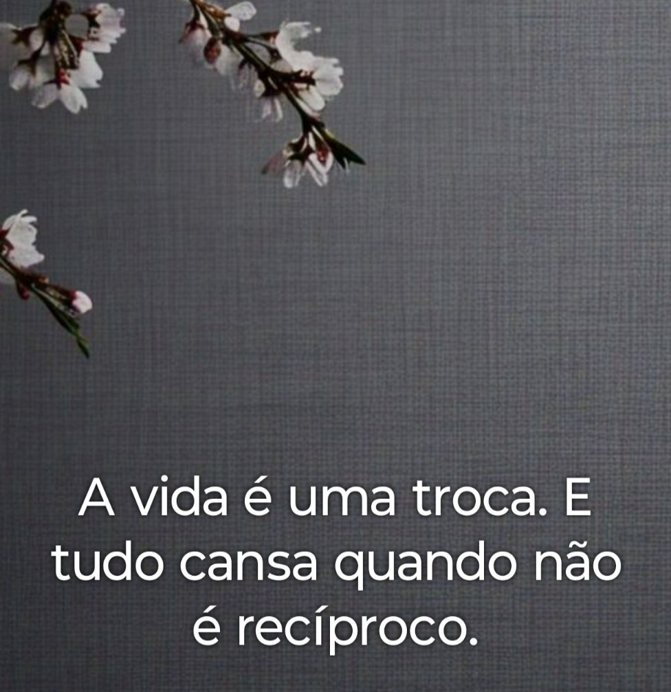 MichelleGuim's tweet photo. Fato https://t.co/waoVktXl09