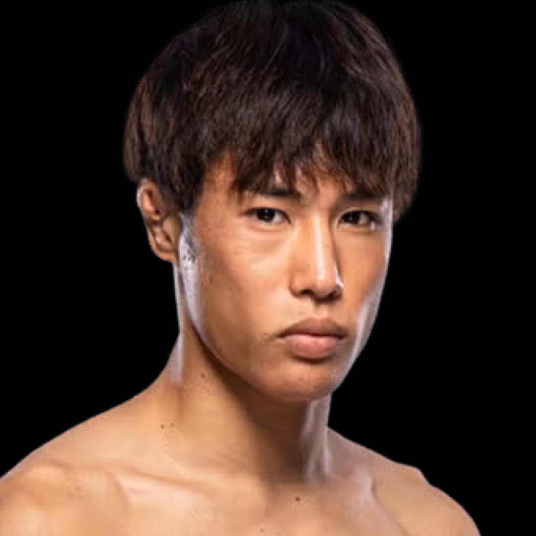 ファイトメモリー | Fight Memory tweet media