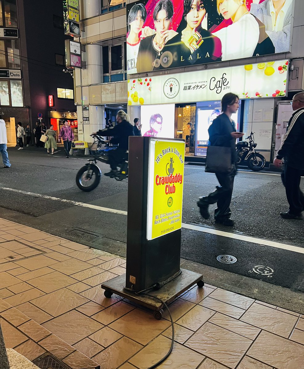 NAOKI SHIMADA tweet media