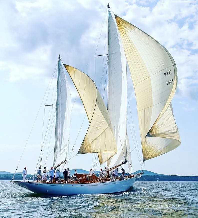 sailboat nationalism tweet media