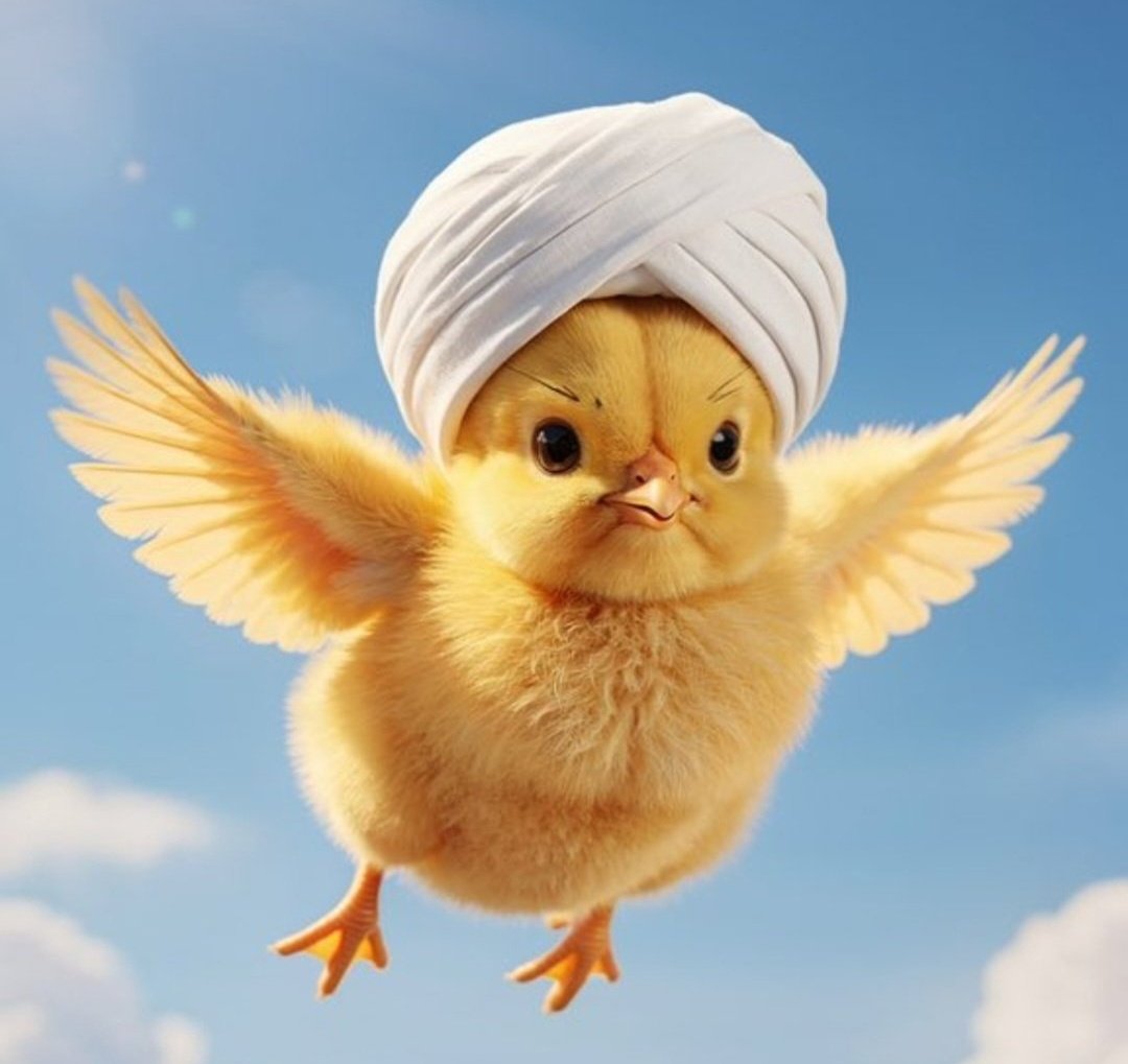 الطيران الإماراتي المجهول 🤭