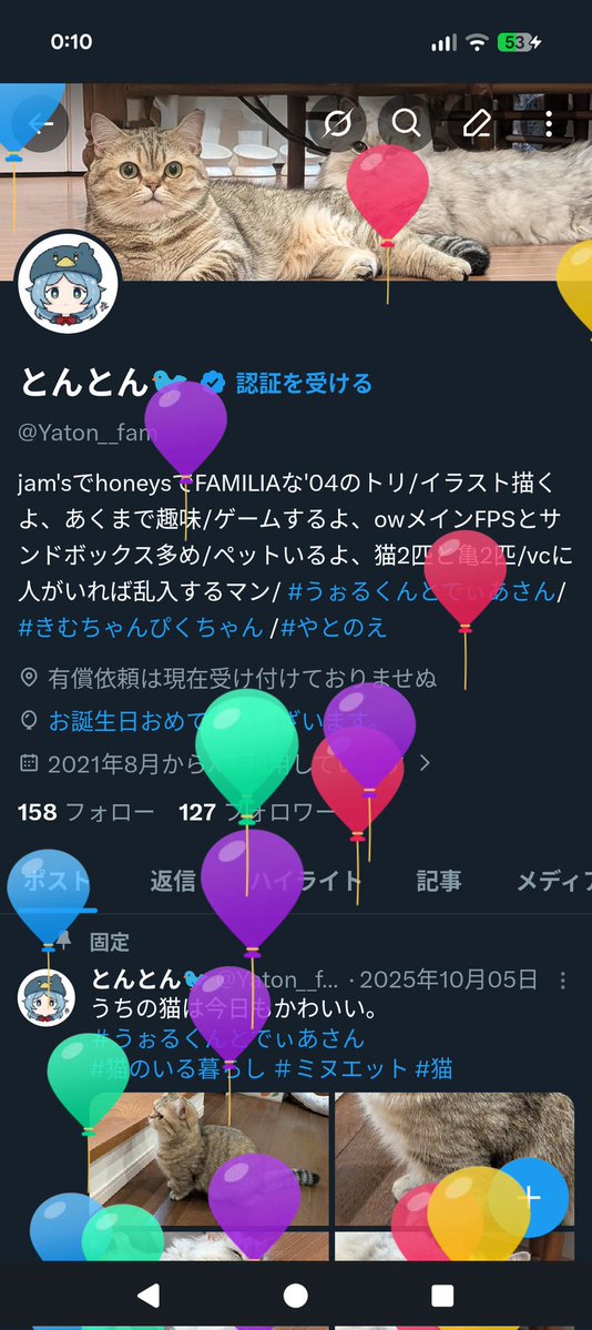 とんとん🐦 tweet media
