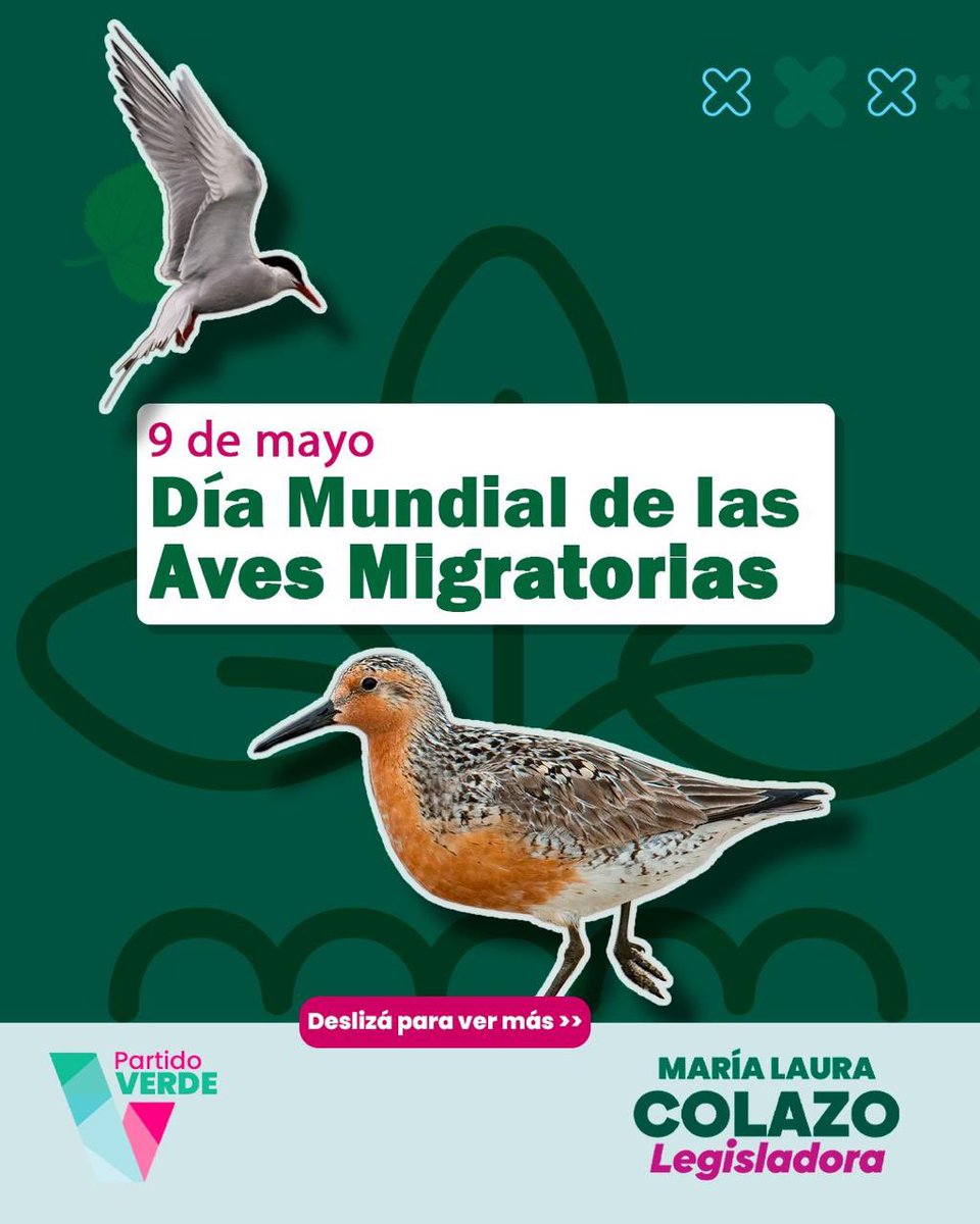 Partido Verde tweet media