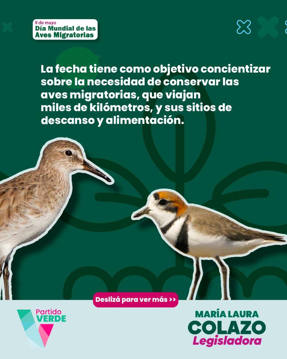 Partido Verde tweet media