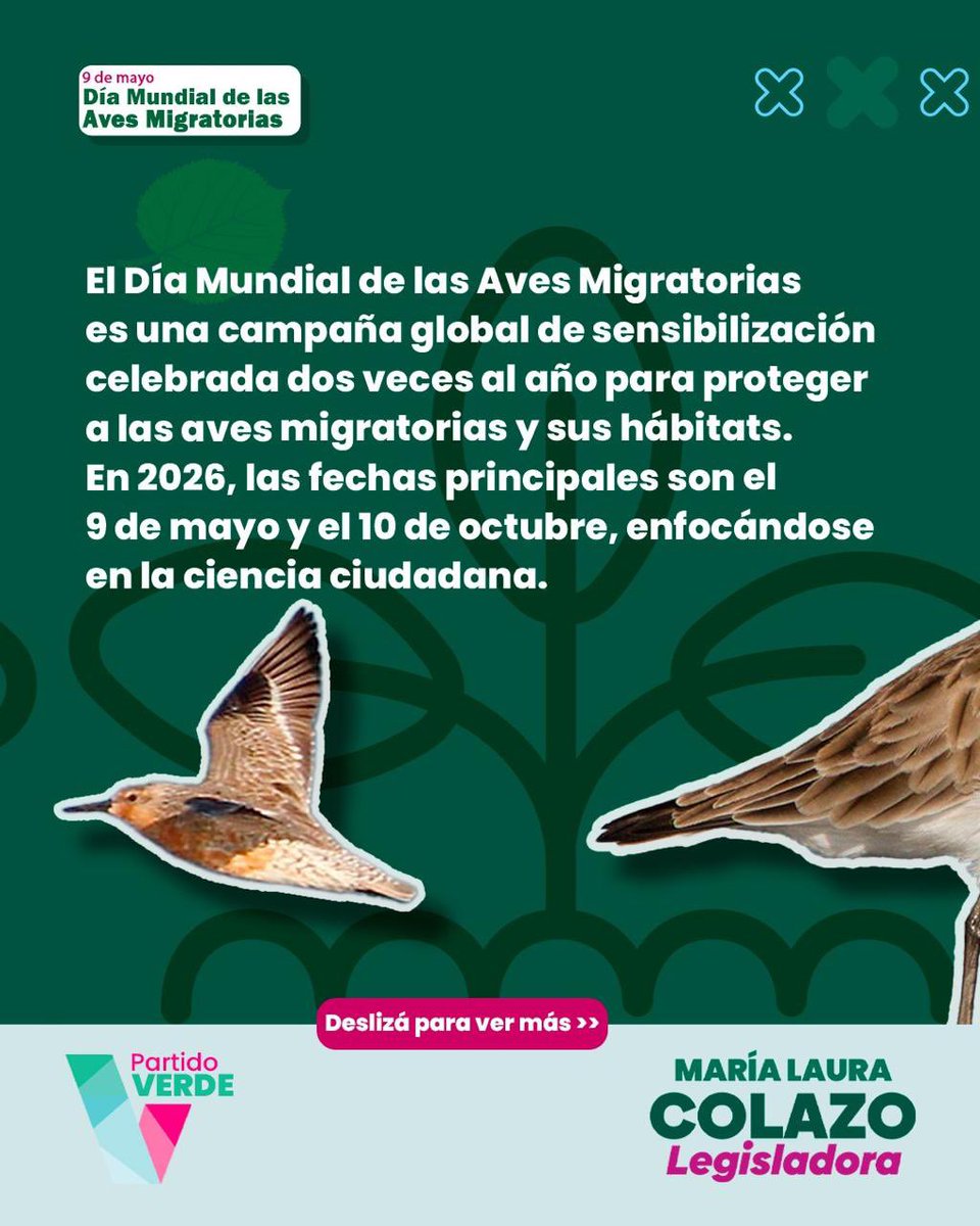 Partido Verde tweet media