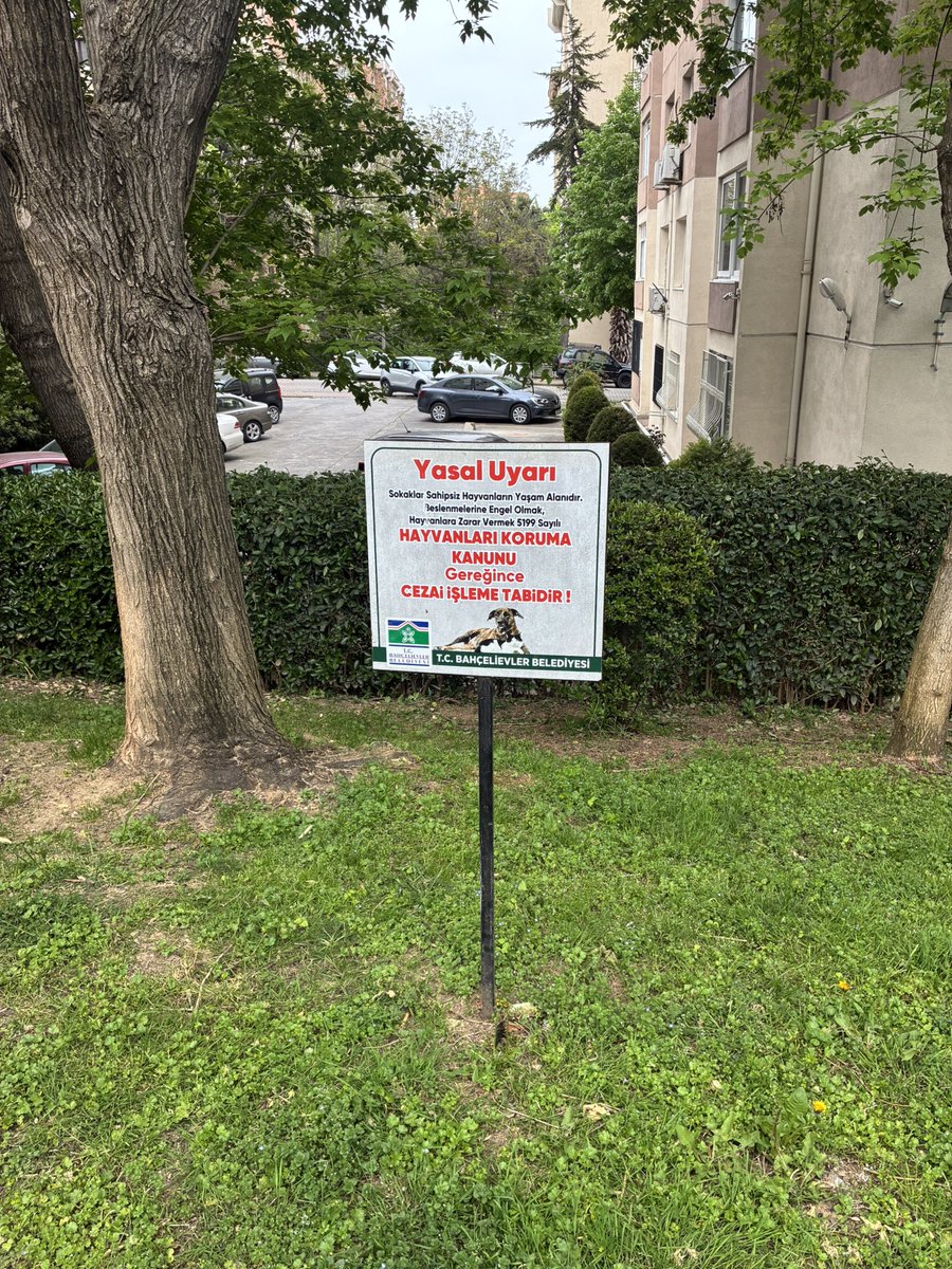 Başıboş Köpek Tehlikesi tweet media