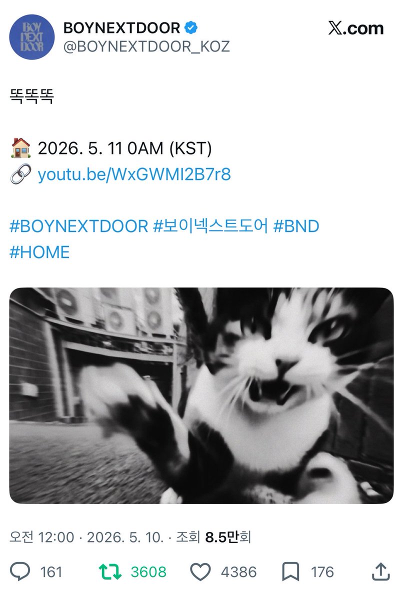 팔팔팔 tweet media
