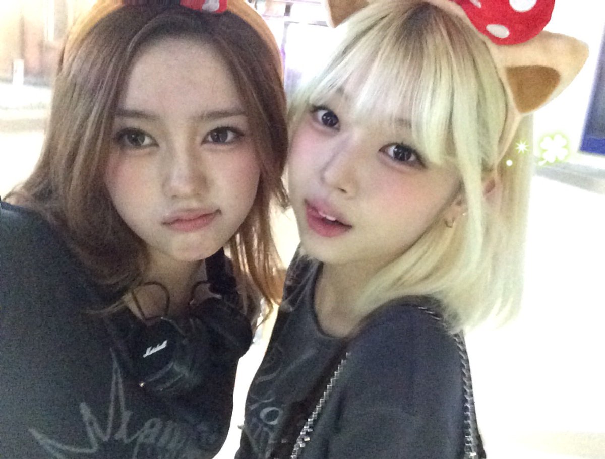 토리 tweet media