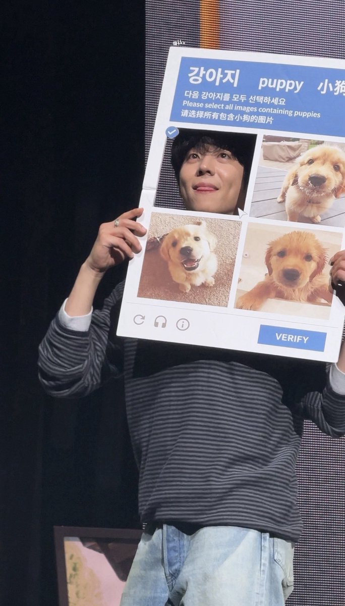 뿡이 tweet media
