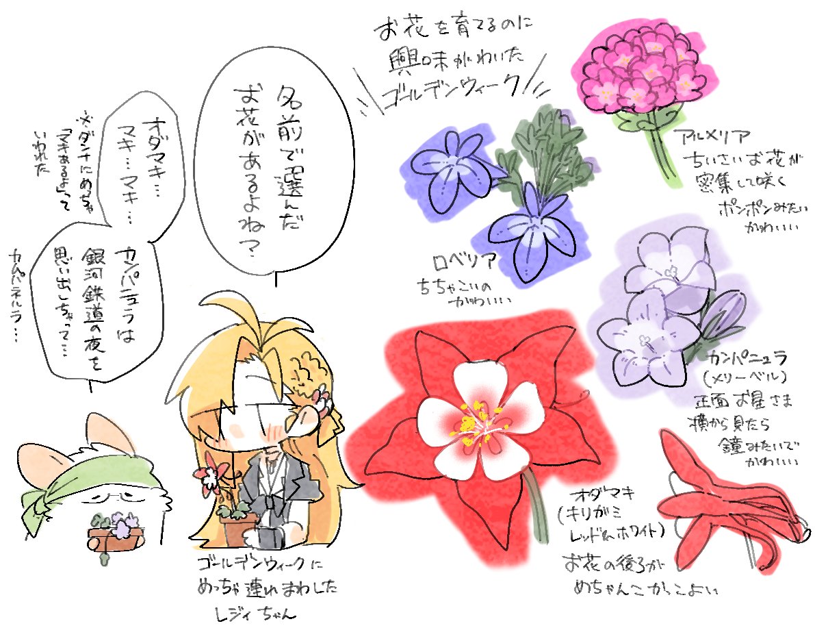 ゴールデンウィークはお花にハマった!🌸
旦那が買ったトウガラシの苗も一緒に育て始めて、毎日ベランダを見るのが楽しみになってる 