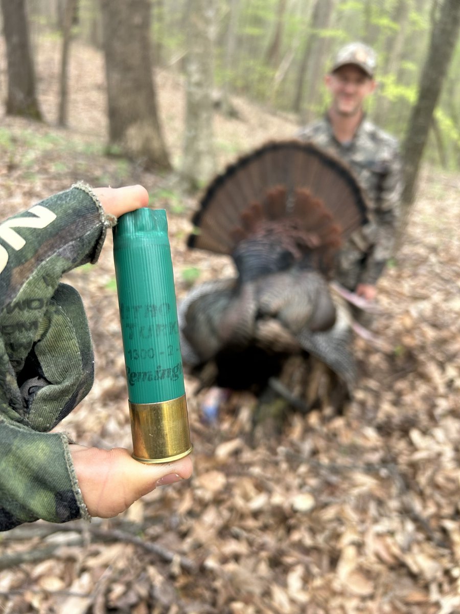 RemingtonArms's tweet photo. Patterned for success, reach out and drop 'em with Nitro Turkey.
#RemingtonCountry #NitroTurkey https://t.co/yjM1VGunoc