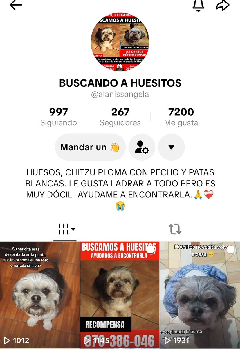 Su dueña ha creado un TikTok para encontrar a su perrita de 8 años perdida en Cercado de Lima hace dos semanas, sube contenido todos los días, lamentablemente sus videos tienen poco alcance y menos de 300 seguidores.

¿Le hacemos el milagrito?

tiktok.com/@alanissangela…