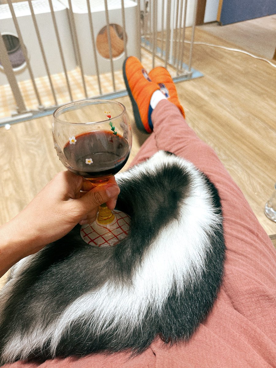 スカンク