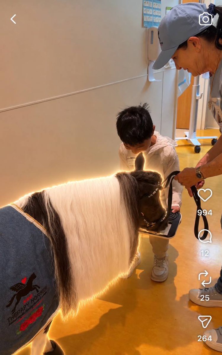 quietonsol's tweet photo. This is one of the best charity coins and it deserves to be a runner

Mini Therapy Horses help kids, patients, veterans, and people going through hard moments feel calm, loved, and less alone

$Blackpearl deserves attention https://t.co/T4SJFwdaoN