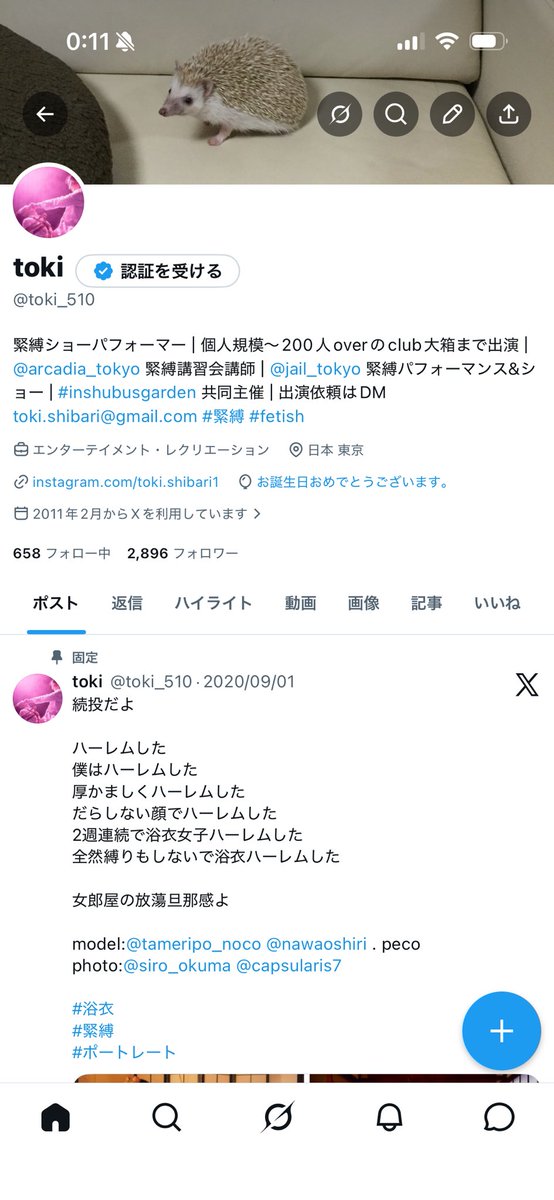 toki tweet media