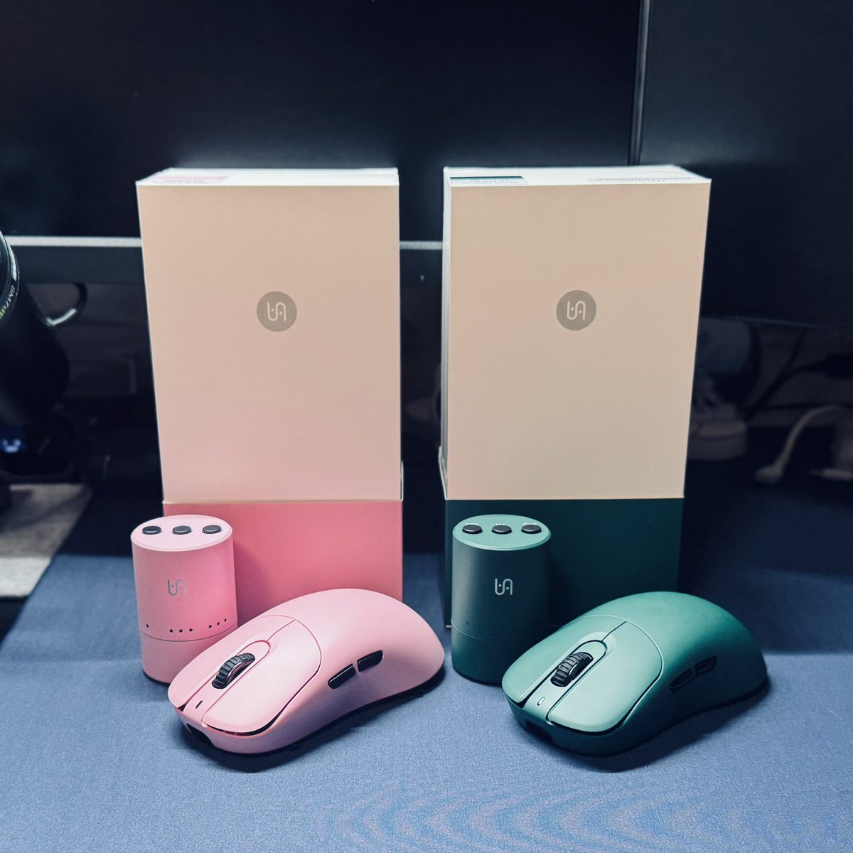 VAXEE NP-01S V3 Wireless(Galapagos Green,Pink)