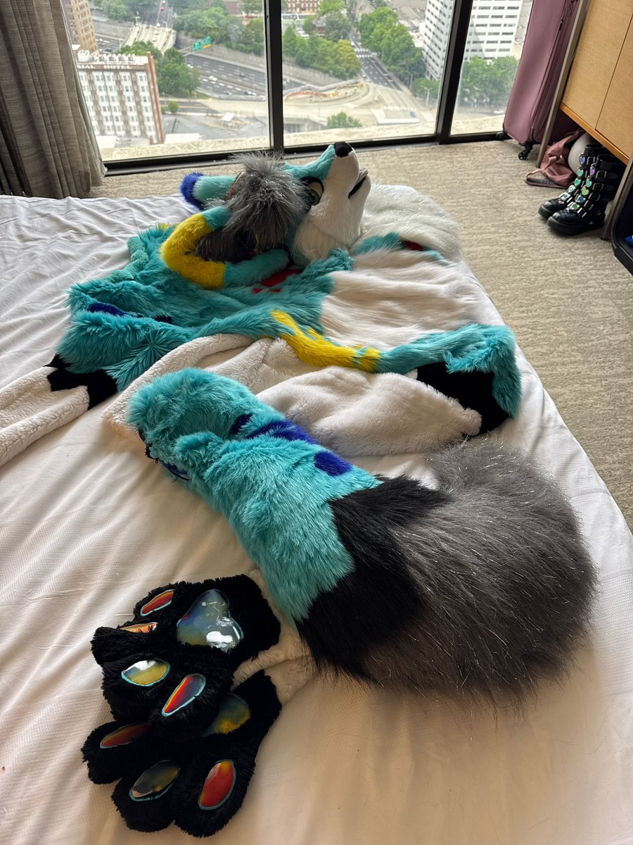 Splat Fennec 🔜 AC tweet media