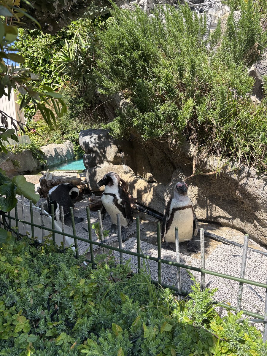 much_mnst's tweet photo. 池袋の水族館 https://t.co/e5sNWaViKg