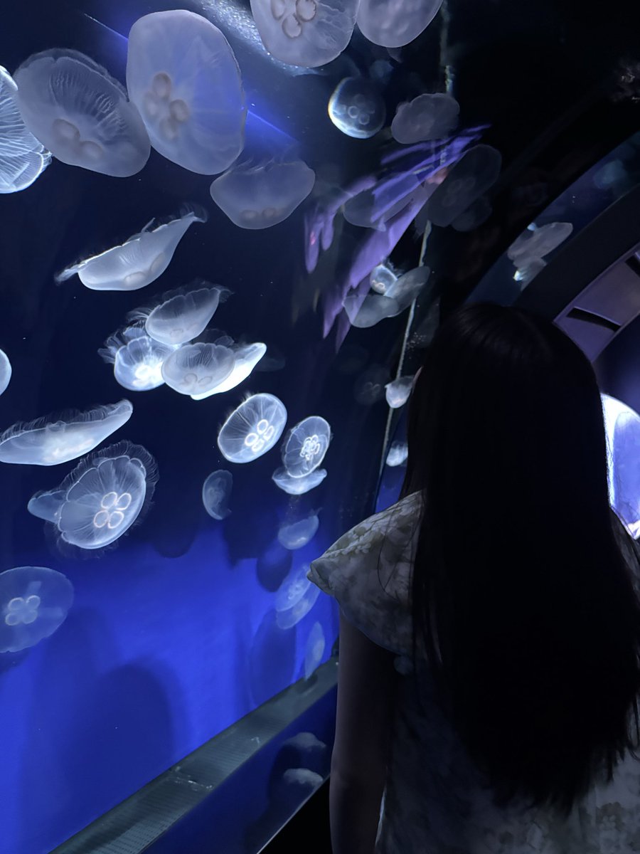 much_mnst's tweet photo. 池袋の水族館 https://t.co/e5sNWaViKg