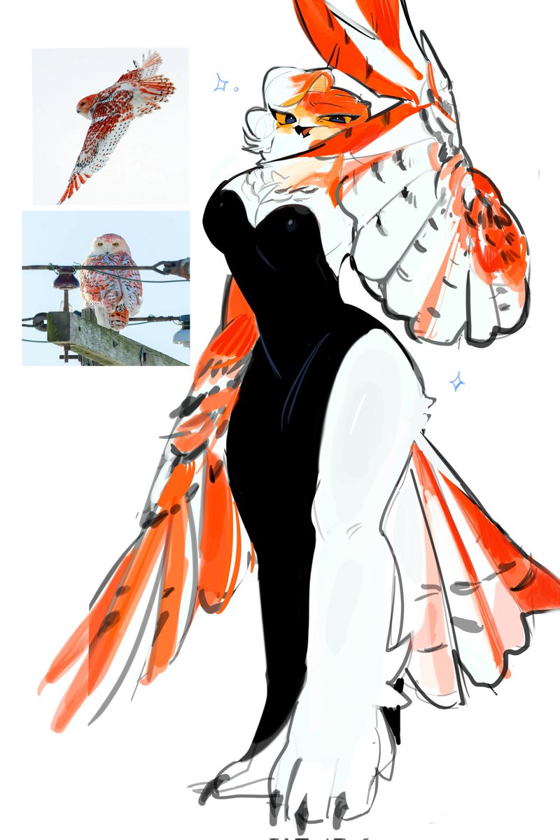나일 tweet media