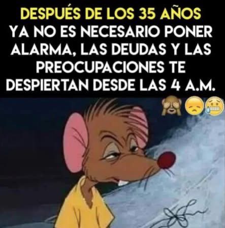 El Meme tweet media